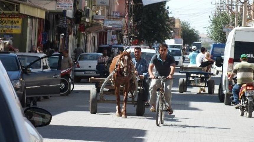 Ceylanpınar&rsquo;da At Arabaları Yasaklandı