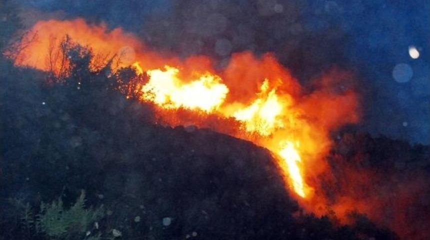 Torbalı'da Orman Yangını