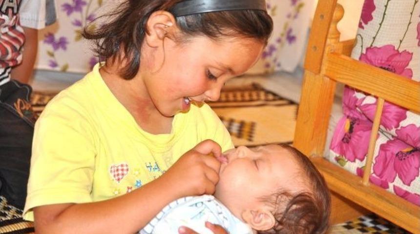 S&uuml;leyman Şah &Ccedil;adır Kentte 6 Ayda 900 &Ccedil;ocuk D&uuml;nyaya Geldi