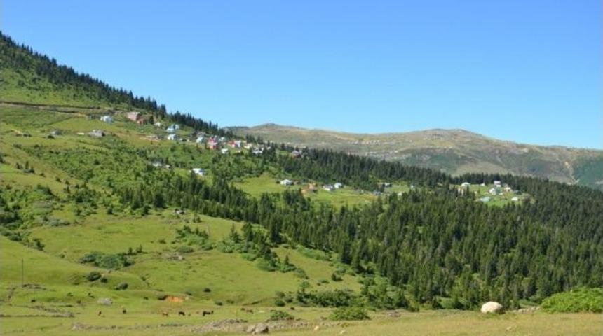Sisdağı Erkeksu Ot&ccedil;u G&ouml;&ccedil;&uuml; Şenliği 29 Haziran&rsquo;da