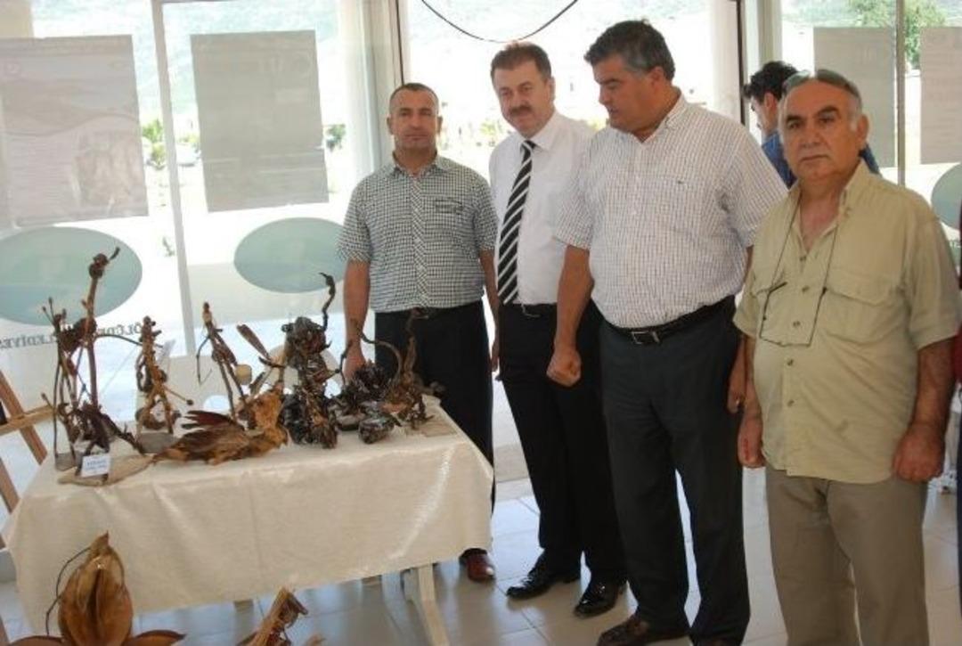 Babadağı Tohumlarının D&uuml;nyası Ve Kuru Dallar Objelere D&ouml;n&uuml;şt&uuml;