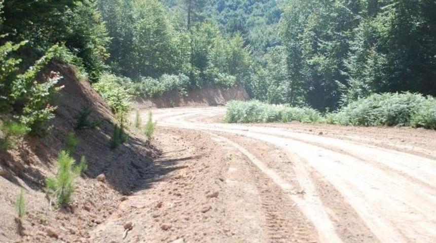 Kaymakam &Ccedil;ay &Ccedil;evre Yolunundaki &Ccedil;alışmaları İnceledi