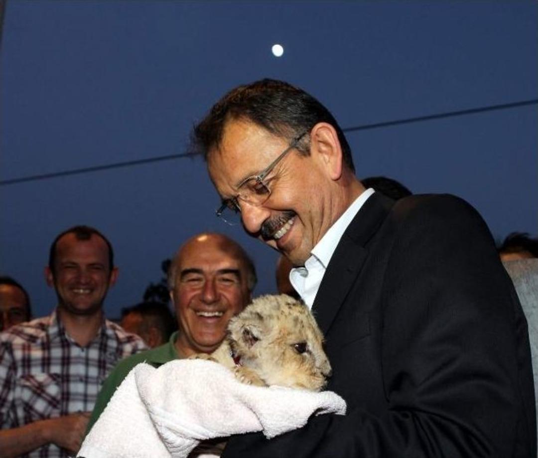 Harikalarda Son R&ouml;tuşlar