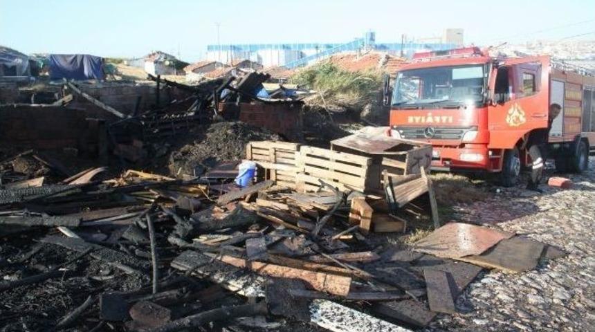 G&uuml;brelikte &Ccedil;ıkan Yangında K&uuml;&ccedil;&uuml;k Baş Hayvanlar Telef Oldu