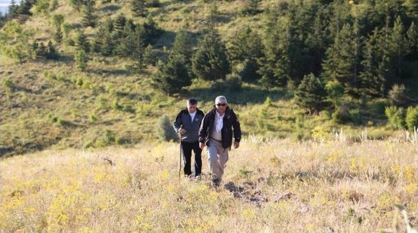 Ali Dağı'nda Y&uuml;r&uuml;y&uuml;ş Keyfi