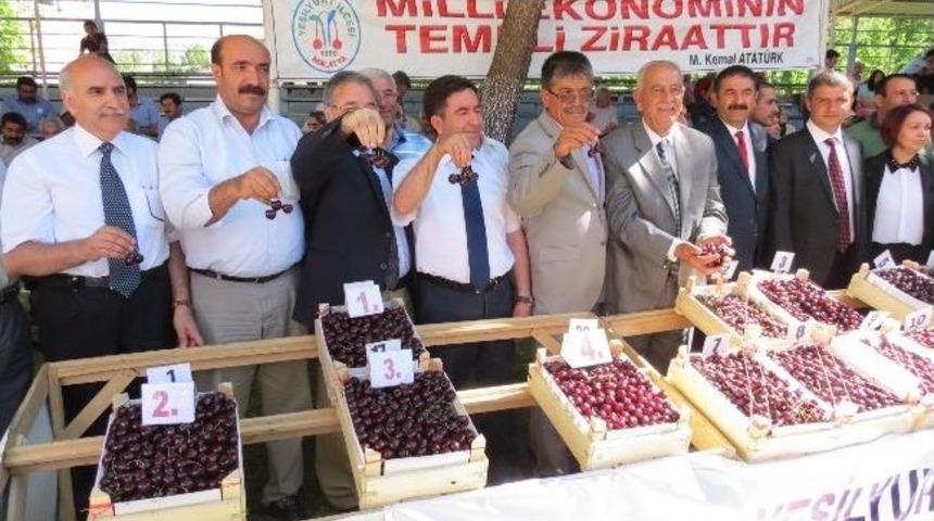 Yeşilyurt’un En İyi Kirazları Ve Bahçeleri Belirlendi