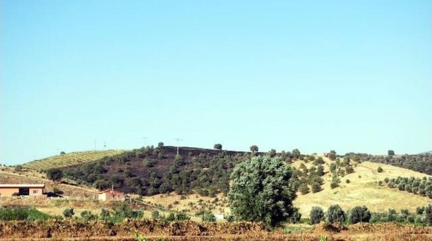 Salihli&rsquo;de 10 Hektarlık Alan K&uuml;le D&ouml;nd&uuml;