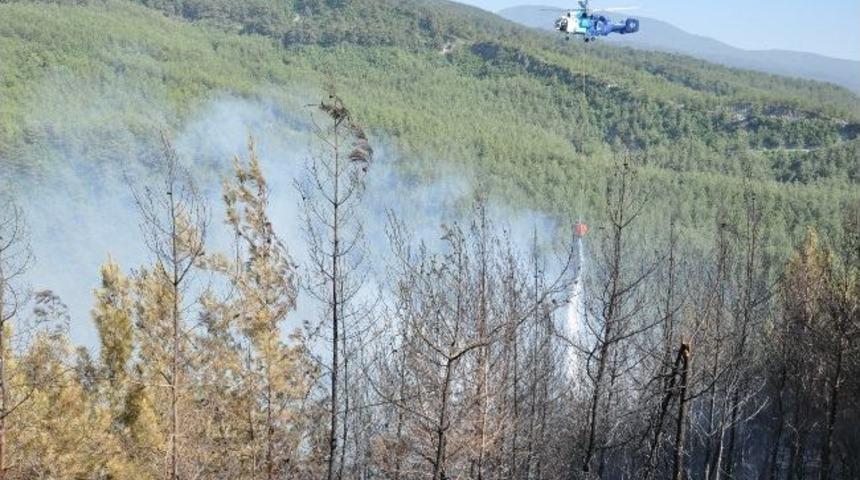 Hatay'daki Orman Yangını