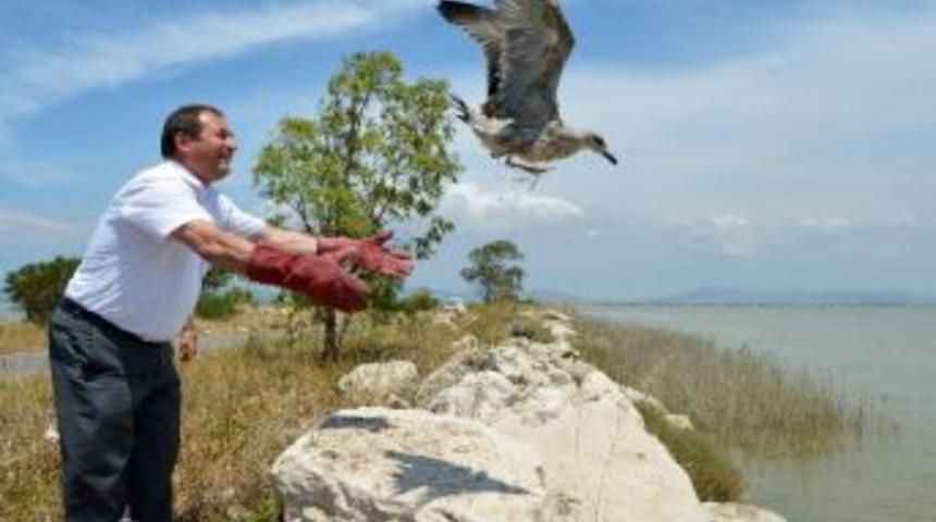 Şifayı Doğal Yaşam Parkında Buldular