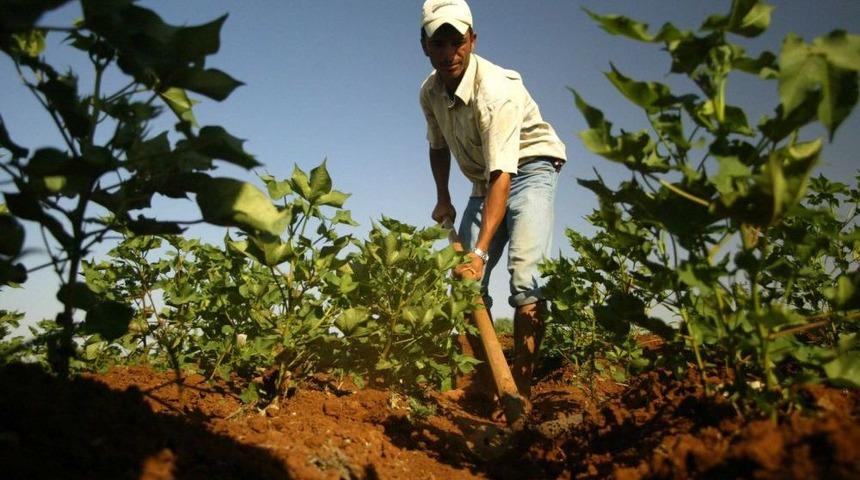 TZOB: Kırsalda Gen&ccedil; N&uuml;fus Azlığı Tarımı Olumsuz Etkiliyor