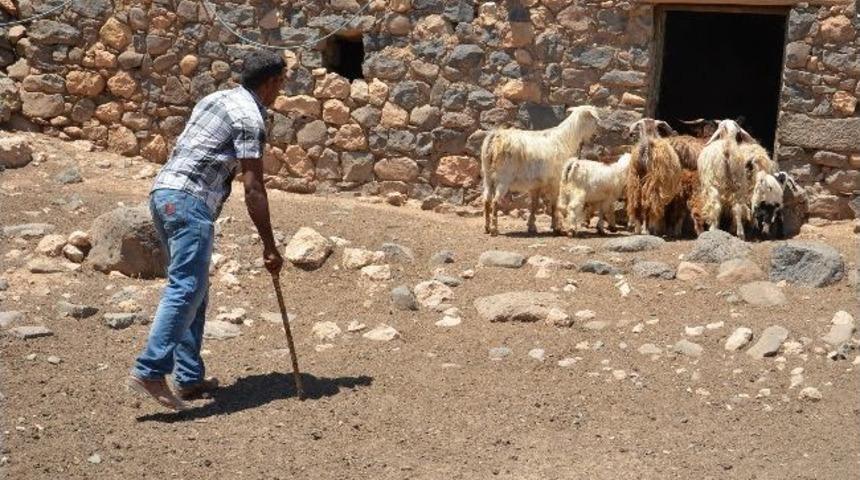 &Ccedil;oban Selahattin Yetkililerden Yardım Bekliyor