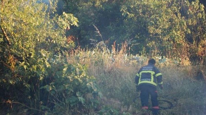 Ereğli&rsquo;de &Ccedil;ıkan Yangın Korkuttu