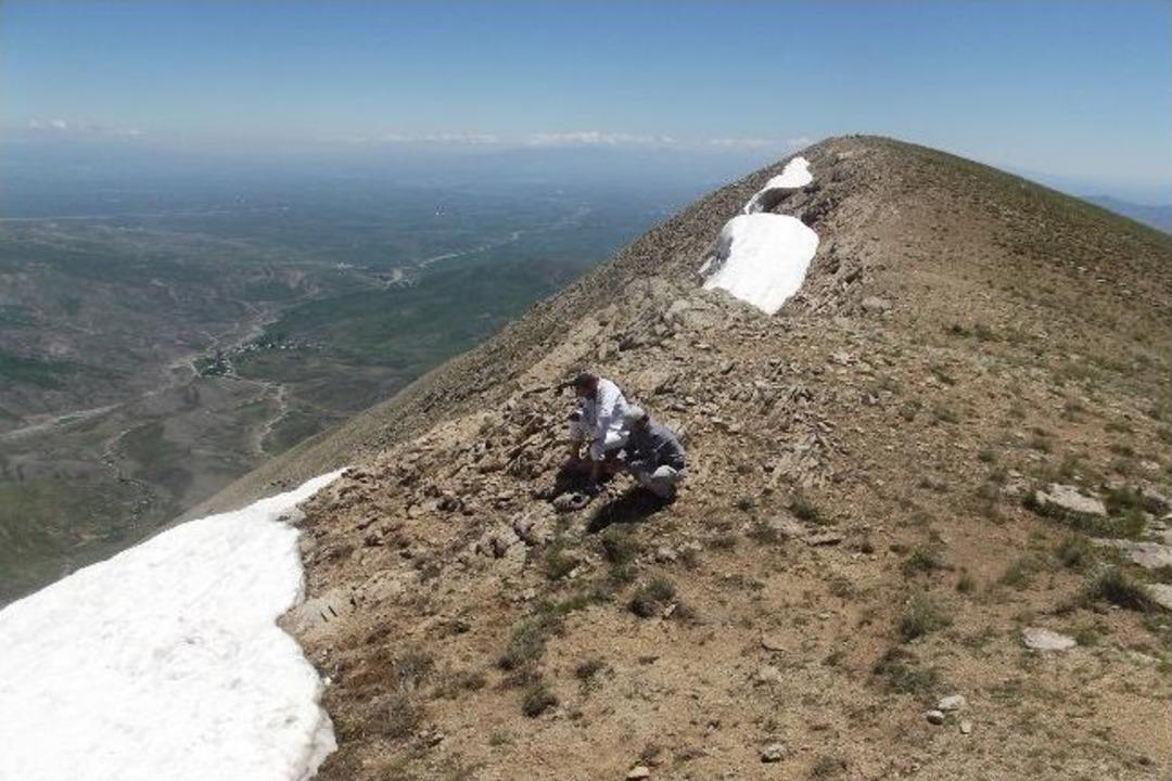Eleşkirt&rsquo;te Maceracı Eğitimcilerin K&ouml;sedağ Tırmanışı