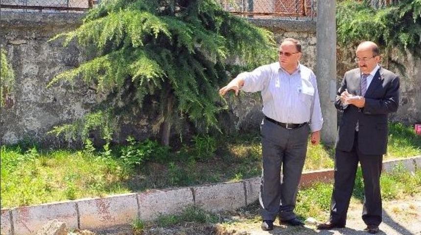 Trabzon&rsquo;da Lys Heyecanı