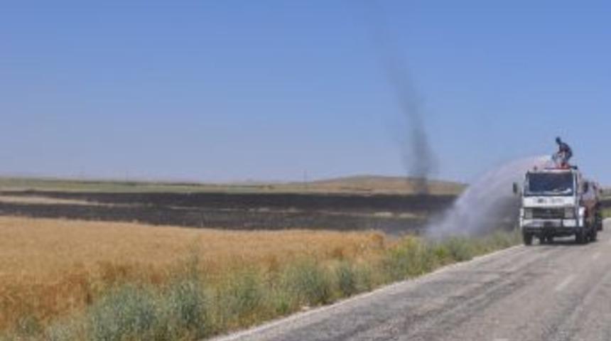 Cihanbeyli&rsquo;de Buğday Ekili Alan Yandı