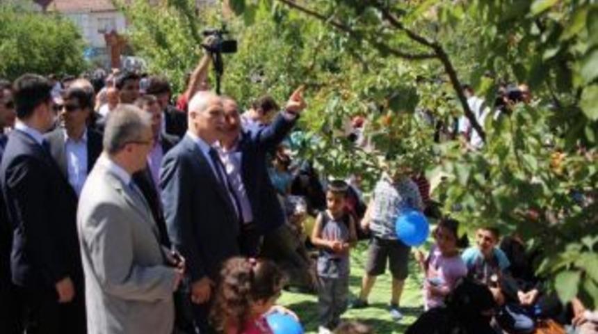 Kayısı Bah&ccedil;esi, Piknik&ccedil;ilerin Kullanımına A&ccedil;ıldı