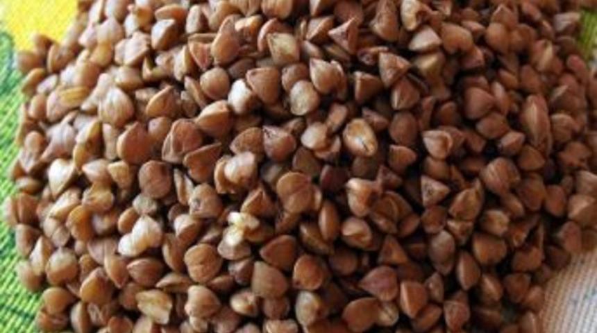 Karabuğday Hayvancıya Umut Oldu