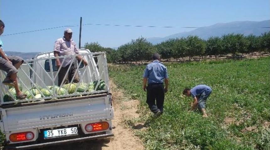 &Ouml;demiş'in Karpuzu Tezgahlarda Yerini Almaya Başladı
