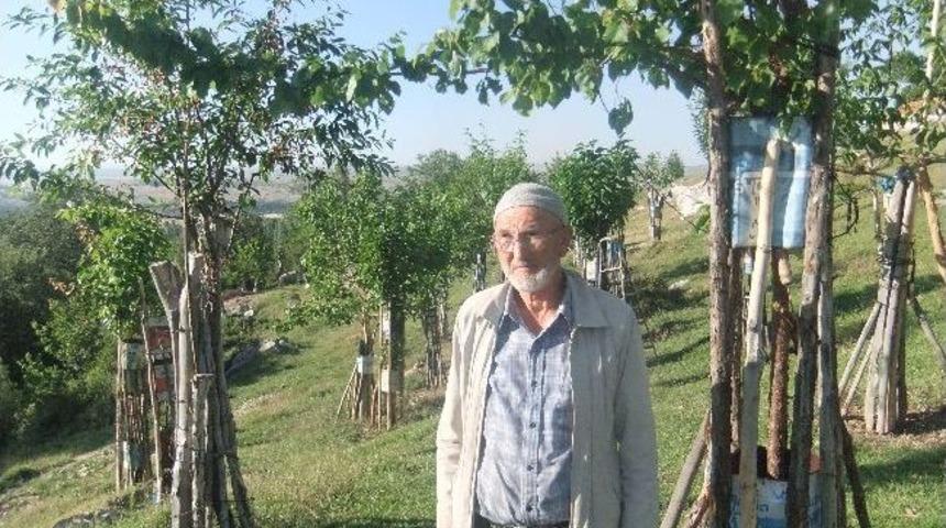 (&ouml;zel Haber) Emeklinin Ağa&ccedil; Sevgisi