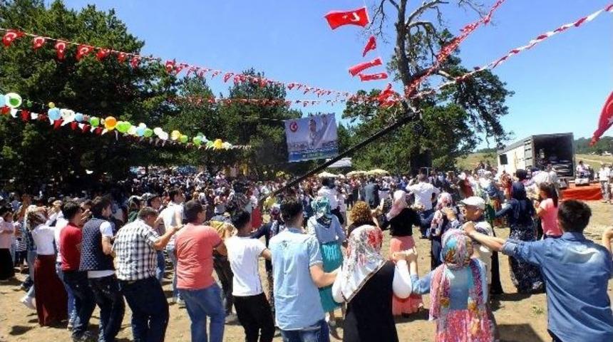 Sarı&ccedil;i&ccedil;ek&rsquo;te Yayla Ş&ouml;leni