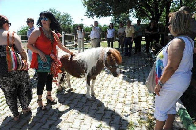 Batı Trakyalılar Osmangazi’ye Hayran Kaldı