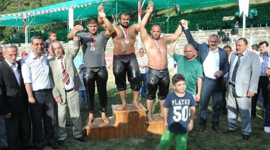Kızılcahamam Yağlı G&uuml;reşlerinde Baş Pehlivan Mehmet Yeşil Yeşil Oldu