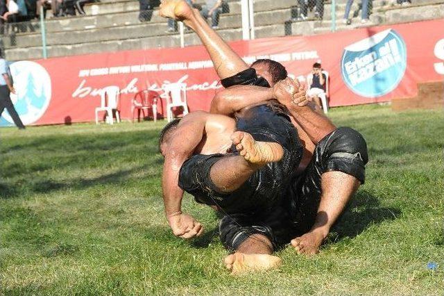 Kızılcahamam Yağlı Güreşlerinde Baş Pehlivan Mehmet Yeşil Yeşil Oldu