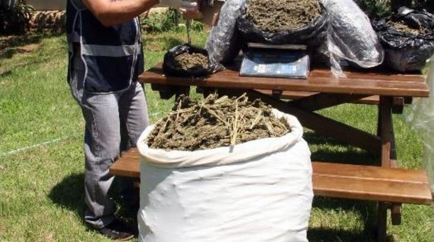 Zehir Tacirlerine Darbe