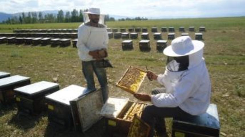 Muşlu Arıcılar Bu Yıl Bol Verim Bekliyor