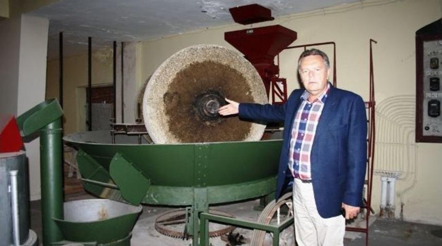 Ayvalık&rsquo;taki Yenilenen Zeytin M&uuml;zesi T&uuml;rkiyede Bir İlk Olacak