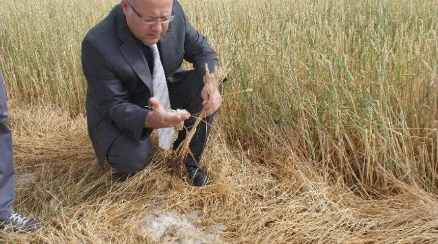 Keskin'de Hasar Tespit &Ccedil;alışmaları Tamamlandı