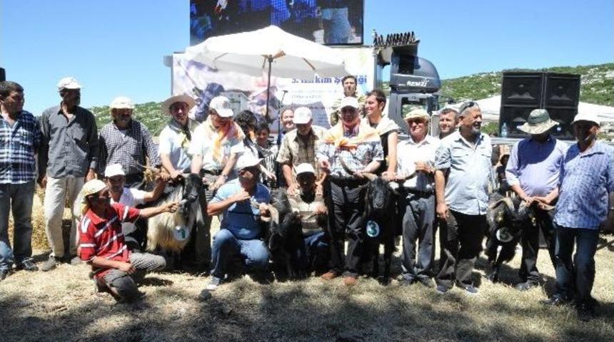 Karaburun 3. Kırkım Şenliği İle Rit&uuml;eller Tazelendi