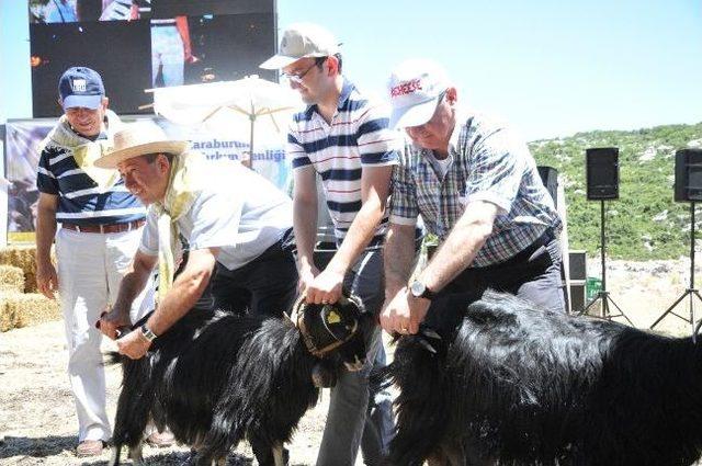 Karaburun 3. Kırkım Şenliği İle Ritüeller Tazelendi