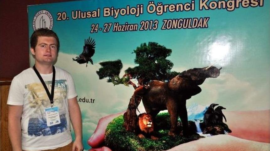 Caretta Carettaların &Ouml;l&uuml;m Sebebi