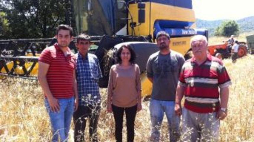 Bi&ccedil;erd&ouml;ver Kontrolleri Devam Ediyor