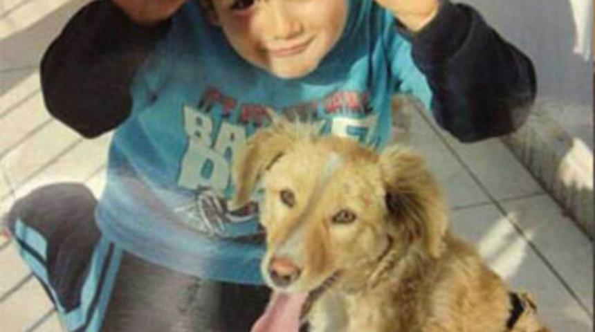 Adana Valisi'ne yardım soruşturması