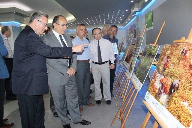 Manisa'da “tarım Ve İnsan” Konulu Fotoğraf Sergisi