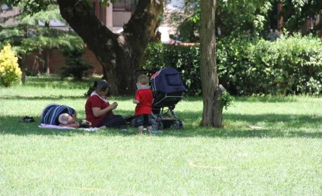 &Ccedil;&ouml;l Sıcakları Bunaltıyor