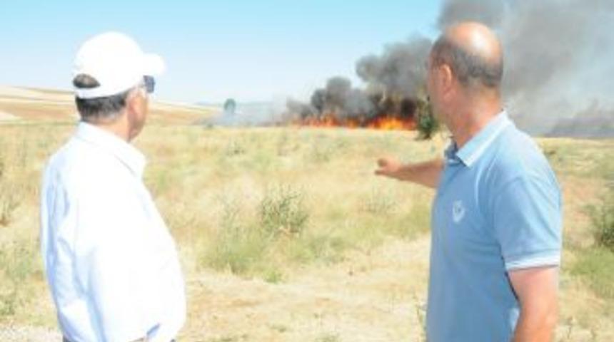 Kırıkkale&rsquo;de 600 Dekar Alan Hububat Yandı