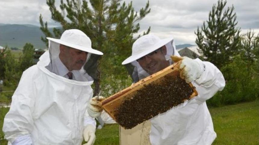 Ardahan&rsquo;da Arıcılık Faaliyetleri