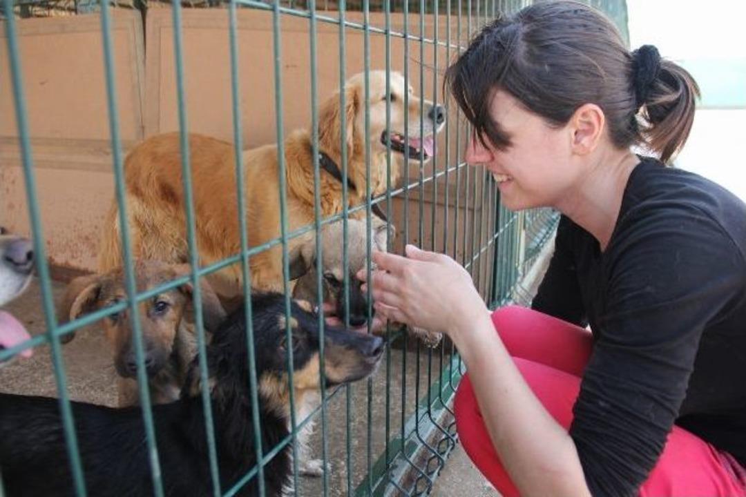 Evini Satarak 1000 Hayvanın Yaşadığı Barınak Kurdu...(&ouml;zel Haber)