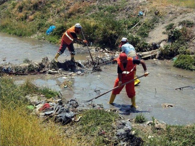 İki Dereden 100 Ton Çöp Çıkarıldı