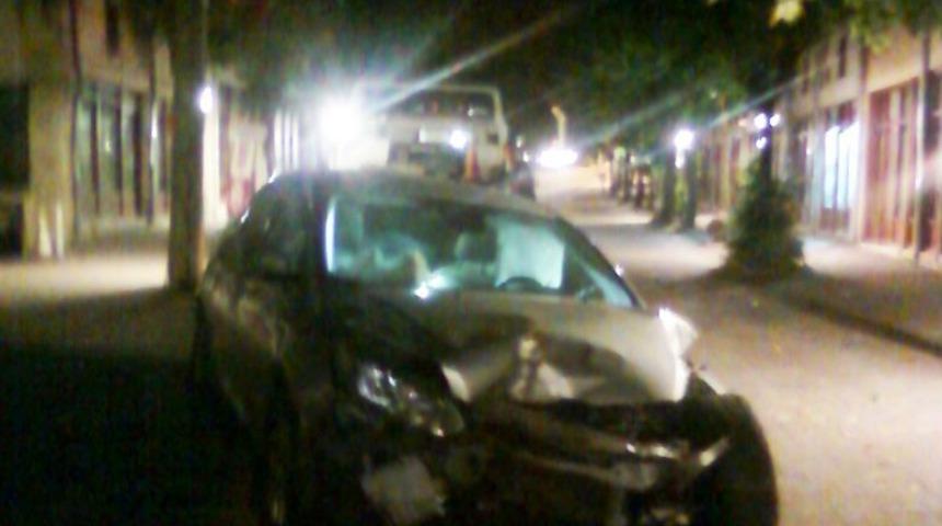 Turun&ccedil; Ağacına &Ccedil;arparak Durabildi