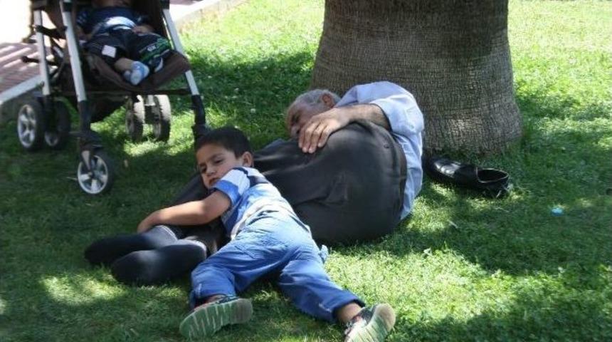 Aydın’da Sıcaklar Dayanılmaz Olmaya Başladı