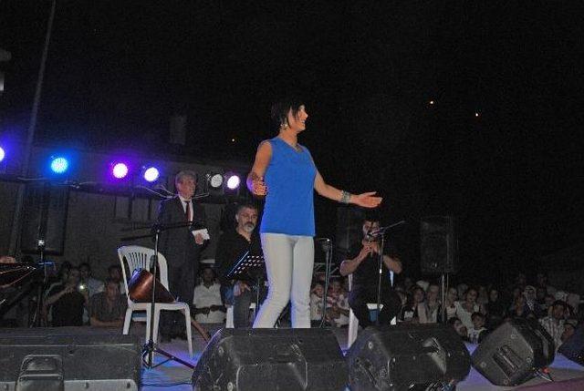 Saimbeyli'de Kiraz Festivali