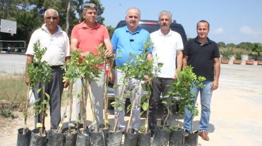 Otelcilik Ve Turizm Lisesi&rsquo;ne Ziraat Odası&rsquo;ndan Fidan Desteği