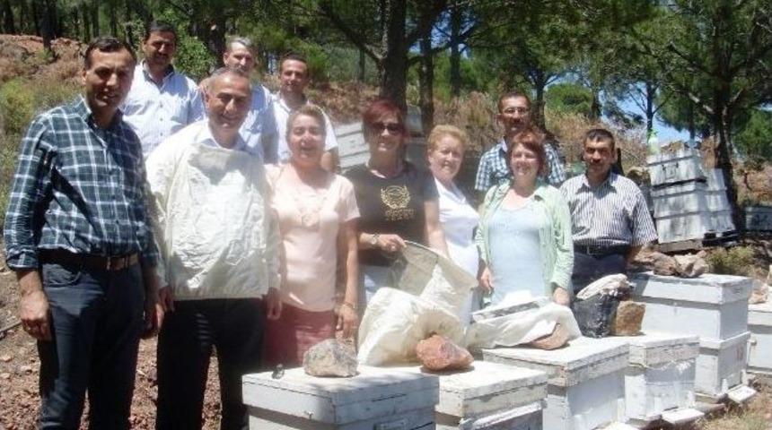 Ayvalık’ta Uygulamalı Arıcılık Kursu Sona Erdi
