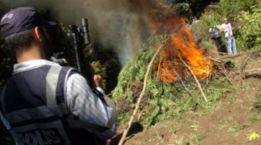 Diyarbakır&rsquo;da 3 G&uuml;nde 1 Ton Uyuşturucu Ele Ge&ccedil;irildi