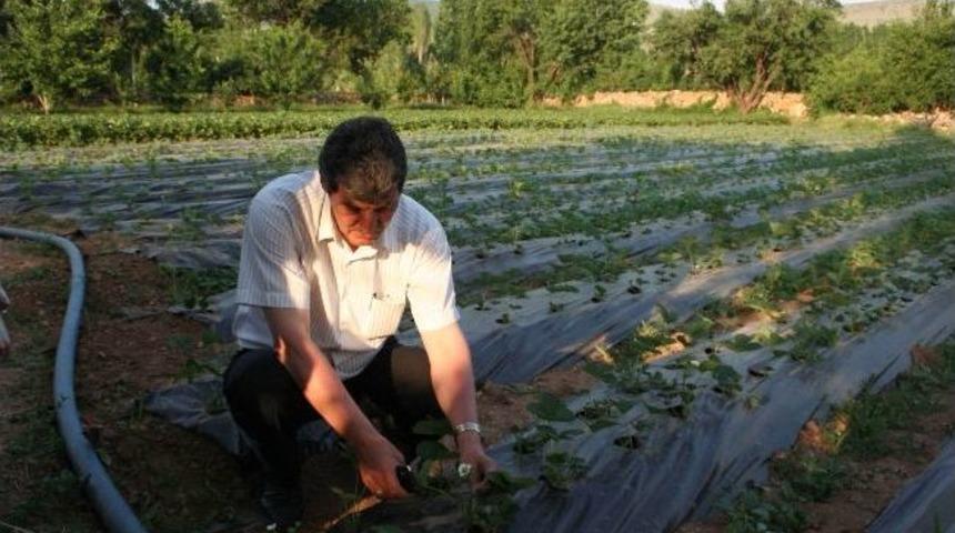 H&uuml;y&uuml;kl&uuml; &Ccedil;ift&ccedil;iler Beyşehir G&ouml;l&uuml;&rsquo;n&uuml;n Suyunu İstiyor