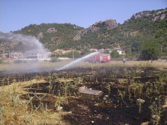 Arazide Patlayan Çakmak Yangın Çıkarttı